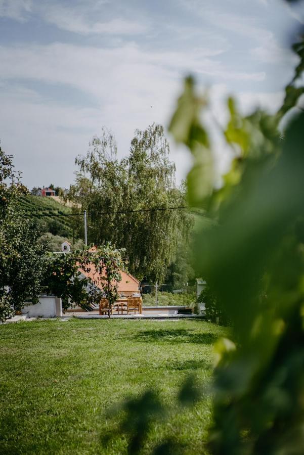 Wein Cottage Kellerstoeckl Eisenberg an der Pinka Ngoại thất bức ảnh